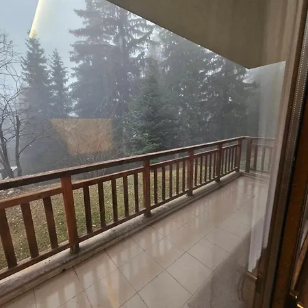 Luxury Forest شقة *