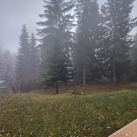 Luxury Forest بوروفتس